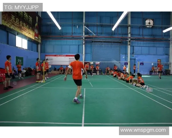 广州羽毛球队在精英赛中的技术表现分析与总结