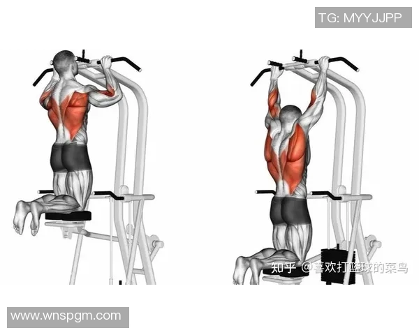 练背部肌肉的健身器材有效推荐与练法技巧 练背部肌肉的健身器材有效推荐与练法技巧